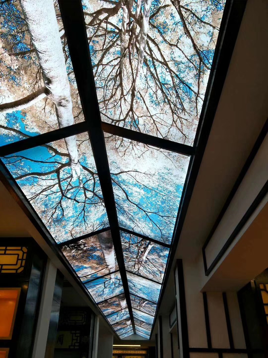 Pattern stretch ceiling - Image 8